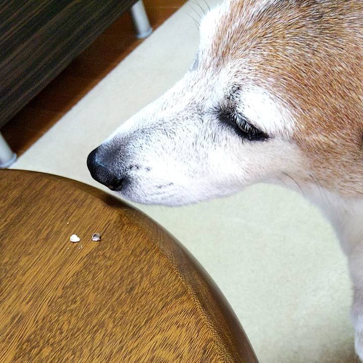 139a4680 b12c 40d6 be21 c836b9eb81f6 1583662165321