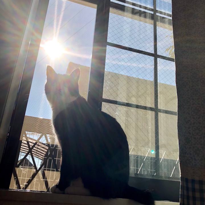 139a51e5 77c1 4584 92d5 8aab15c6fd67 1519305656785