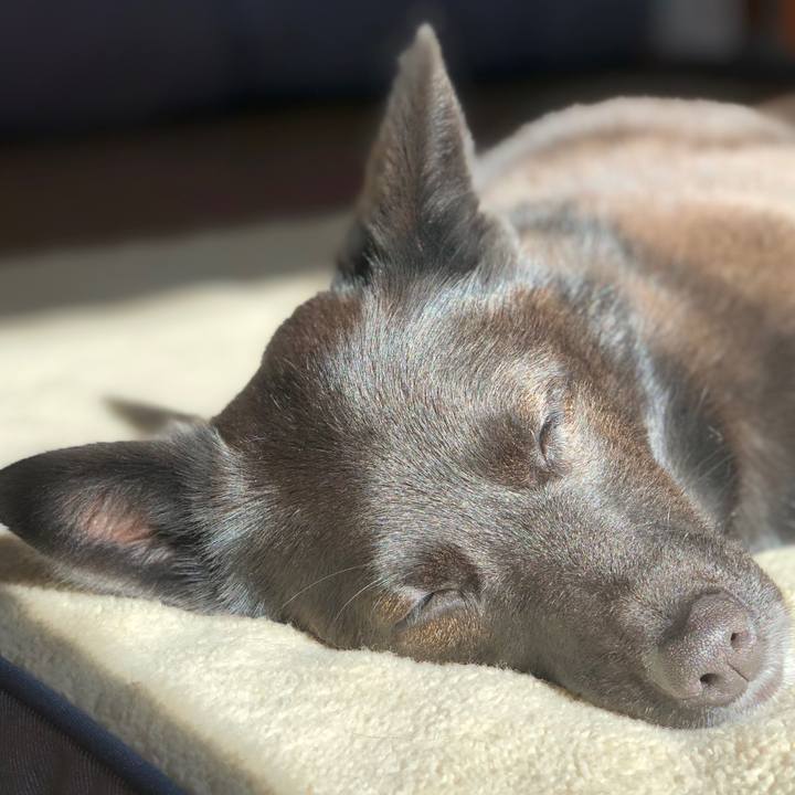 139a79bf 162f 4526 a31b 801f790f7ef4 1611968986081