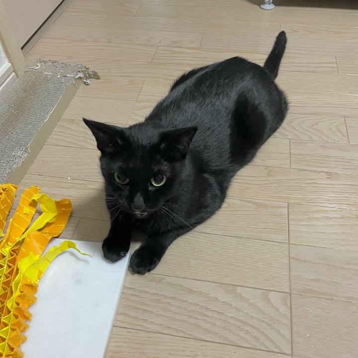 139ab77f 16cc 4bb7 8ff6 8e4faeb743c5 1691413249329