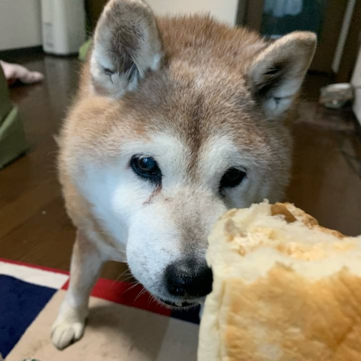 139abe58 b6da 4816 9905 30eb107f4278 1642546500217