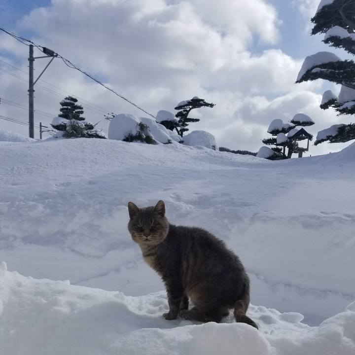 139ada78 c4c0 4c09 aedd 8951c35d56d4 1518924366719