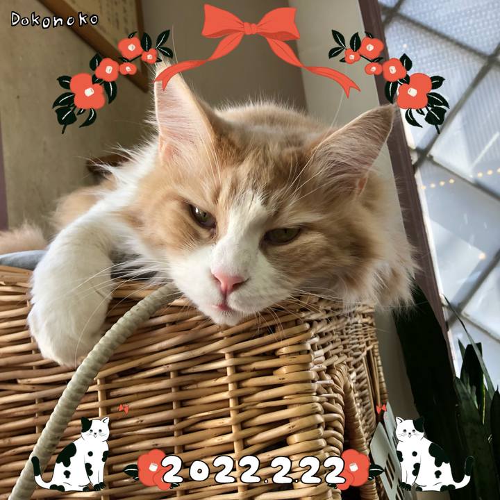 139af419 a2e9 4fcf 9e0c 87dd6536ee82 1645494866526