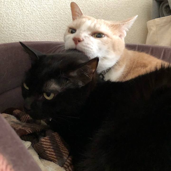 139af7d3 8717 4755 ac77 de9dce2a536a 1612911858628