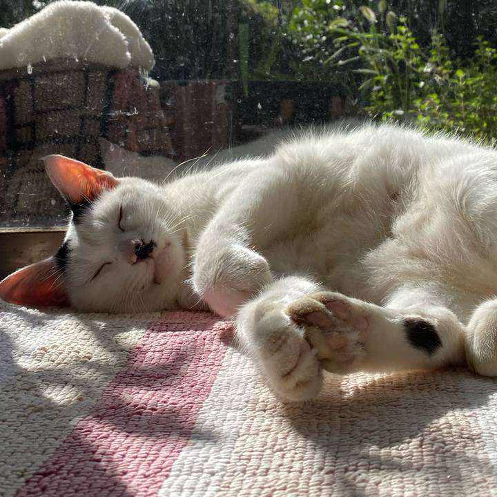 139b1c7c 739f 4fe1 aecd 745d4a9ed7ed 1601266936775