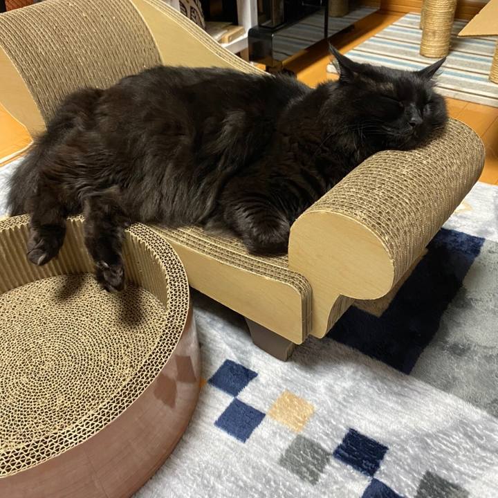 139b4462 3309 4a7b 8672 21bde1d2767f 1588349150559