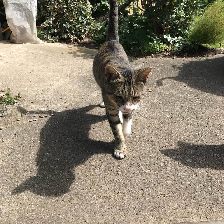 139b55aa e682 4e4b 9323 cee71e59cf1f 1537959977142