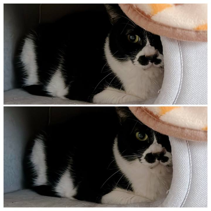 139b6d6b 7fc9 4fa6 ab79 455b88308f74 1670577666774