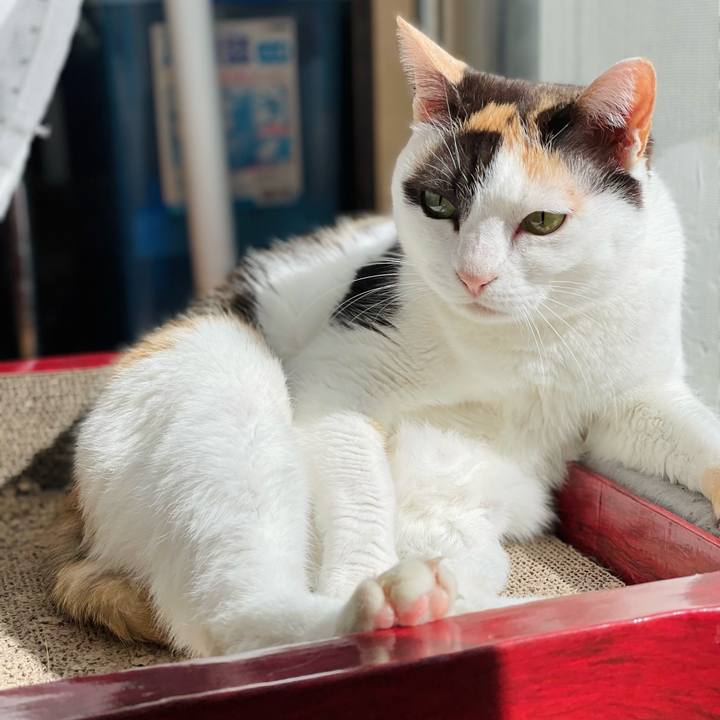 139bc4a3 99f2 4211 9360 ea7c6357e05b 1650768498754