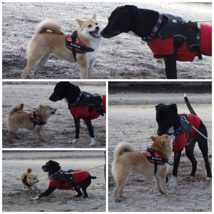 139be85e a9ea 4041 8cd2 a350d39100ba 1643246040872