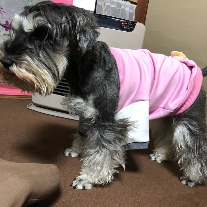 139c08d3 70cf 45b8 ac9d 12d4d0d26078 1584013860353