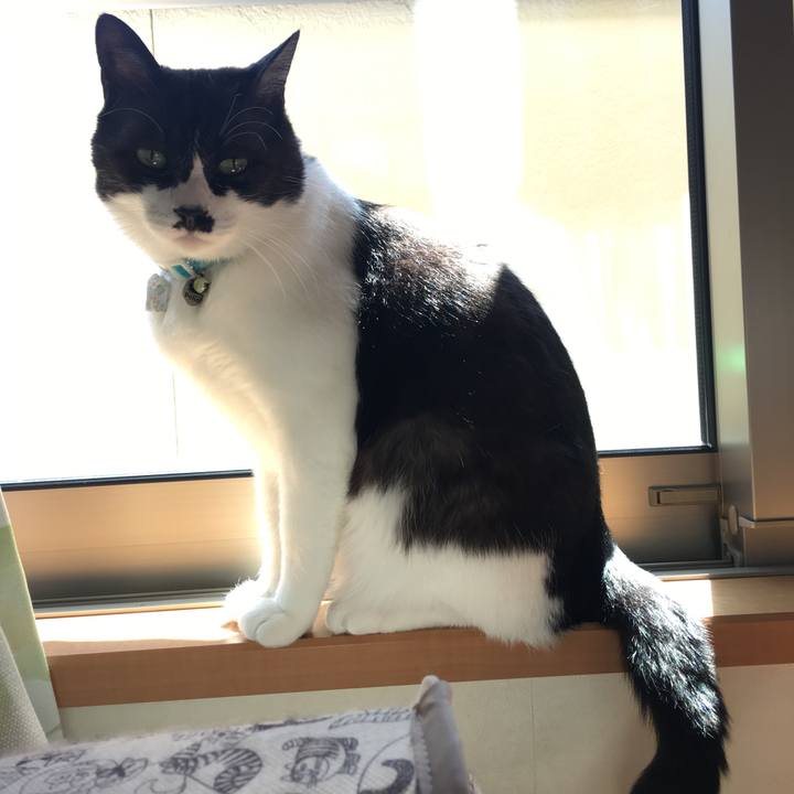 139c4003 1de9 495e 9d29 22b0132a0db8 1520650159945