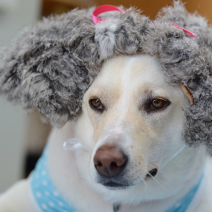 139c4fe7 58a4 45bc 8087 ea83446a94aa 1530204020503