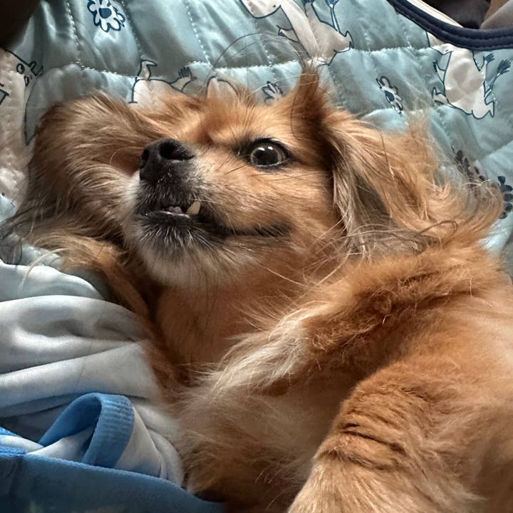 139c7a25 e912 4cb3 9ef5 41039a7b970e 1726354999843