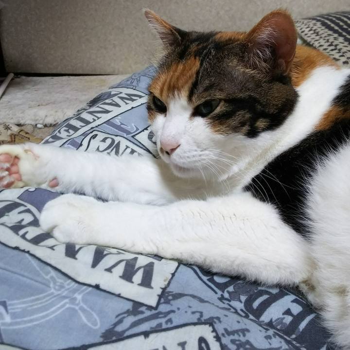 139ca67f a12f 4aeb ba4b ceed6ee28b87 1526392427316