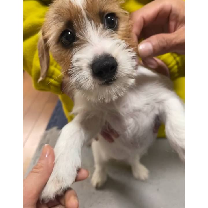 139cb7ce a3d4 4151 93be 1ed47552729e 1768951574403