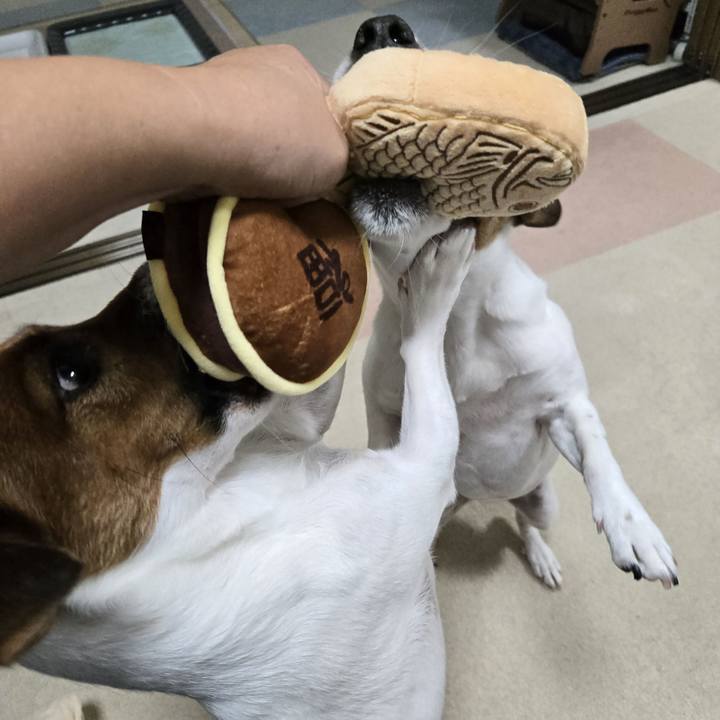 139cba91 ccb5 4195 a739 78a745863616 1762998098063