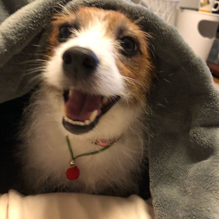 139cf48a 14fd 477b 93a7 cea5408626d5 1618233561832