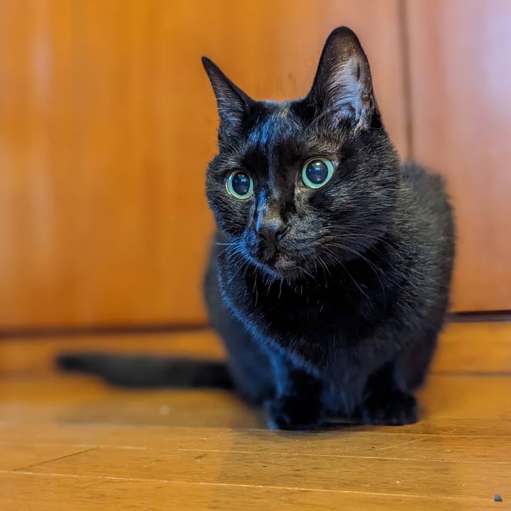 139d0955 23ef 4269 8956 4b10644ae047 1758754243258