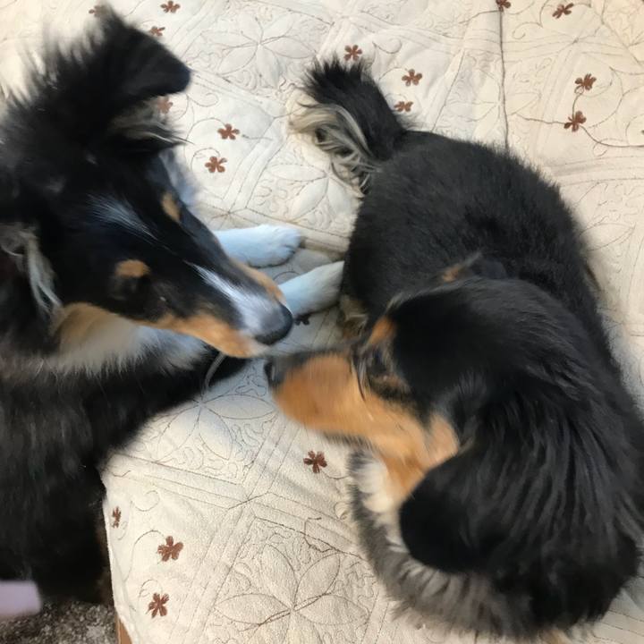 139d3426 58bf 4e6a 8b30 40c6bc52444e 1514410744686