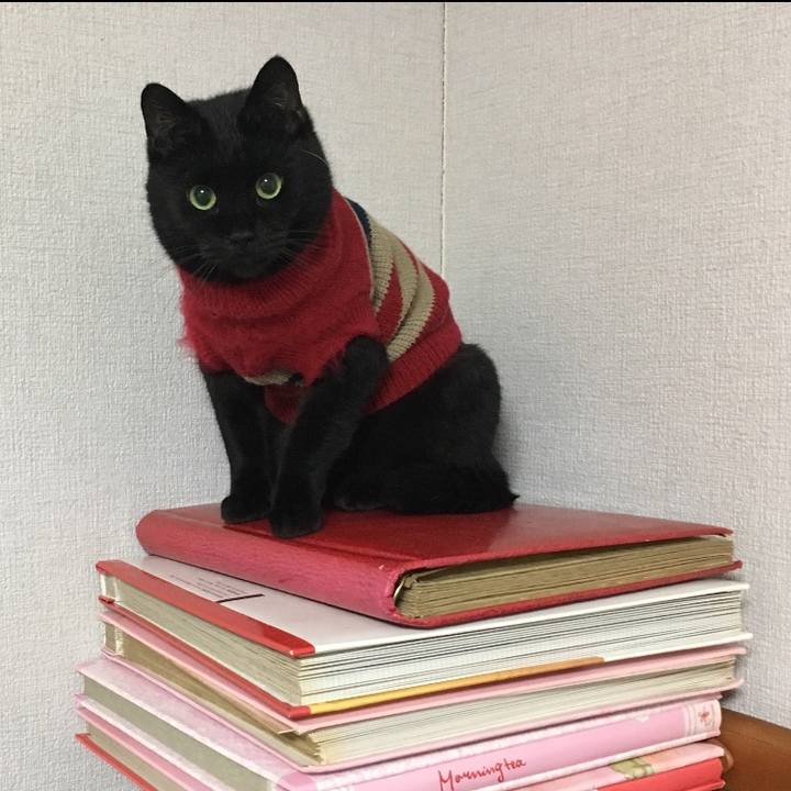 139d4904 8dbb 413b bc2e e8cb353a821b 1614992235173