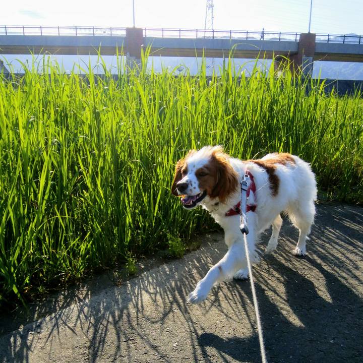 139d5666 d988 454c bed3 99a66b205abf 1558236362216