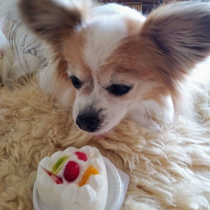 139d6774 f4a5 4256 959c a4c2e0e210fa 1545889980622