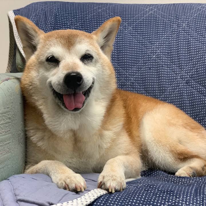 139d90a8 fe0d 467e 8fa1 139f32a6668a 1570081749891