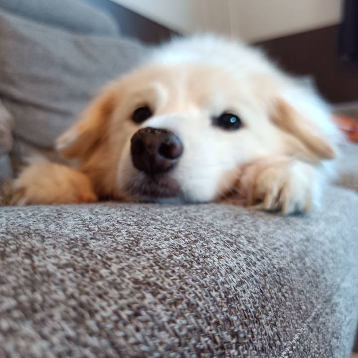 139dc678 36b4 42ec a0a0 c2f3d134bae6 1754004353361