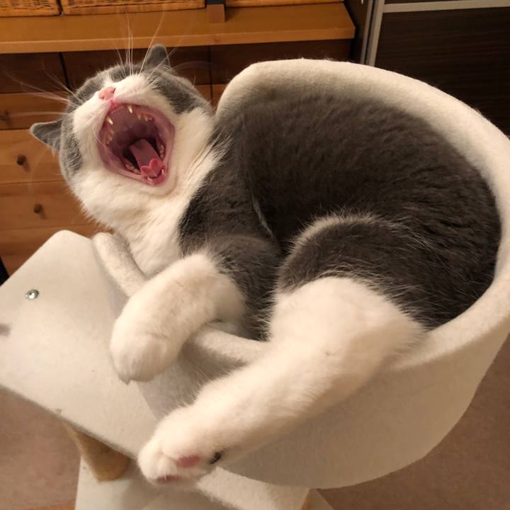 139dce90 f196 4e73 a7c6 278dbe6a2cc7 1547600646532