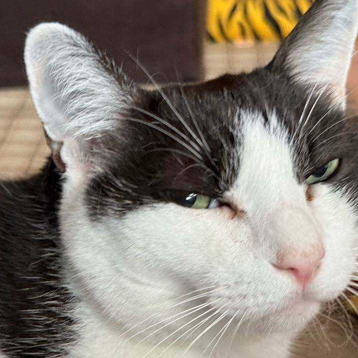 139dd96d f6f4 4a41 b97e 83785cadf3b6 1756192019291