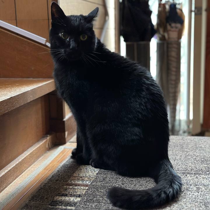 139de5ef ecf7 497e 83ab b9b5421e7bc2 1676254090777