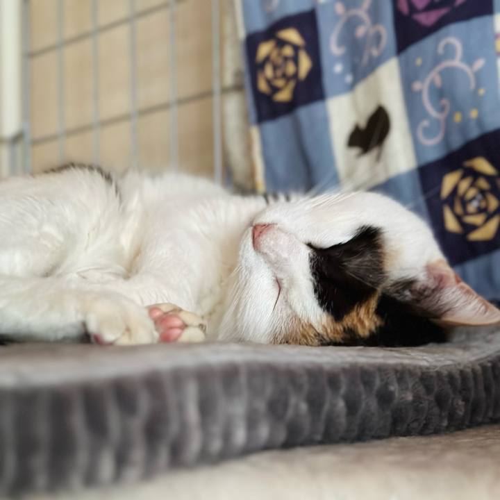 139df6ab 5f41 4add a06c 0453c2b183e8 1711850236516