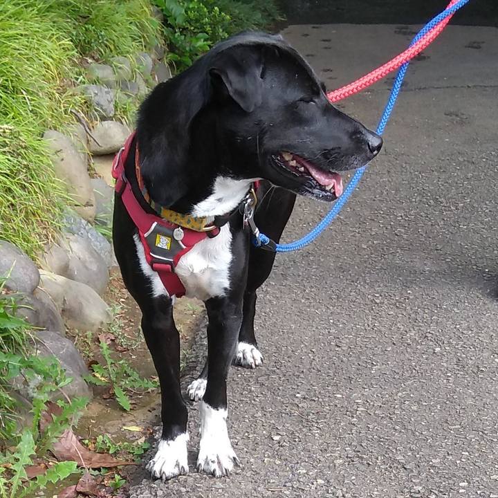 139dfe23 ba2a 4e4f bdaf 1417f4464654 1590454341670