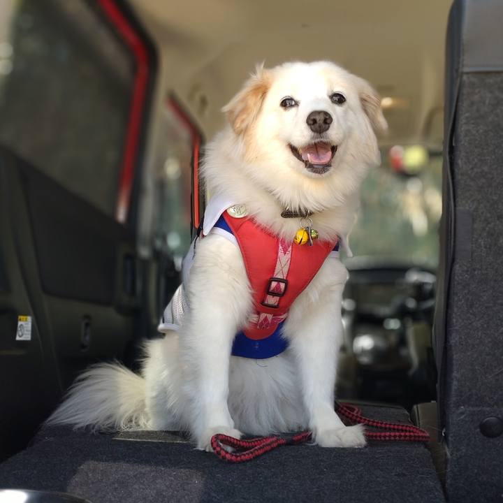 139e0fb1 26e3 4ceb 90e5 9e225c92fe4f 1649475003103