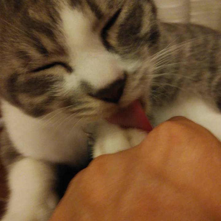 139e307d fdbd 479e 92c7 eca3021d16b5 1566050770757