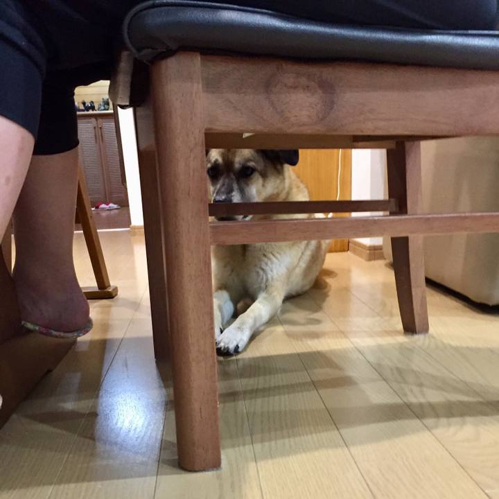 139e5721 f583 42c8 9f4f ed2b742bfb33 1529487349293