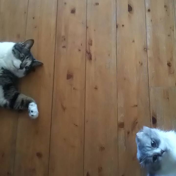 139e60d1 1197 4beb 9965 9dd024f60142 1628048629246