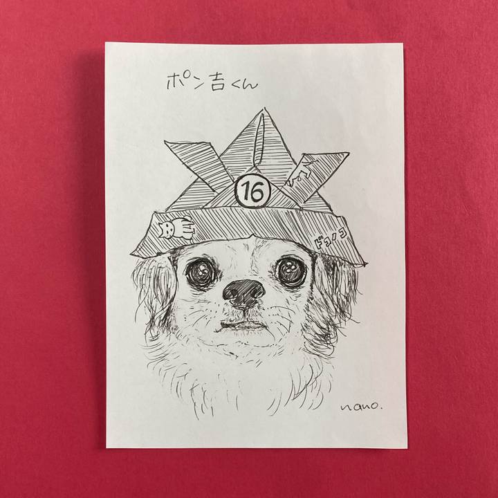 139e6dcf fa91 4b73 a567 efd32a1935d6 1636595641010