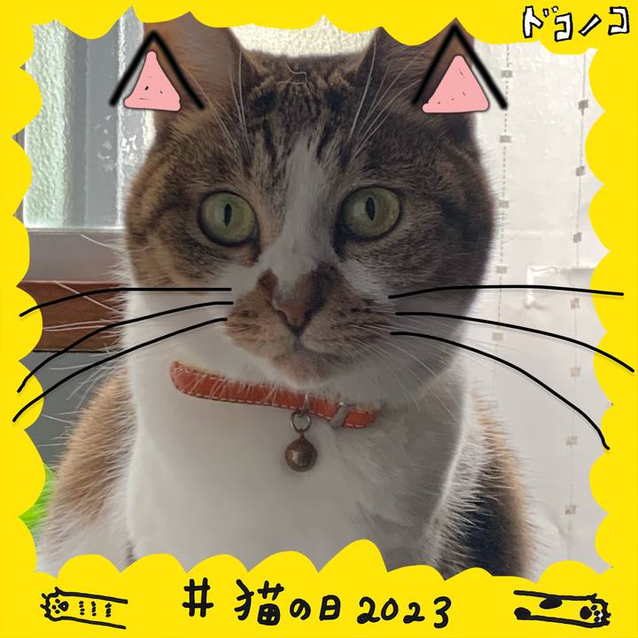 139ea4aa c7b8 4e96 be59 9ceb971c52fc 1677076213268