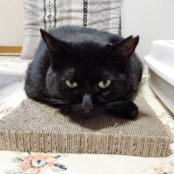 139ef67b c535 478a be77 5586e997d975 1629070363400