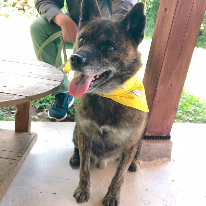 139f2f2a cbc9 4b9d ad0b cb22a0b6eec7 1568284012536