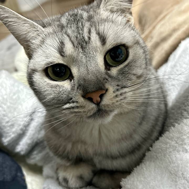 139f488d 43a3 4810 9daf a44391cfc89f 1704891168907