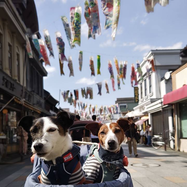 139f73f6 b66c 4190 99df 81ef27752e2f 1746264718109