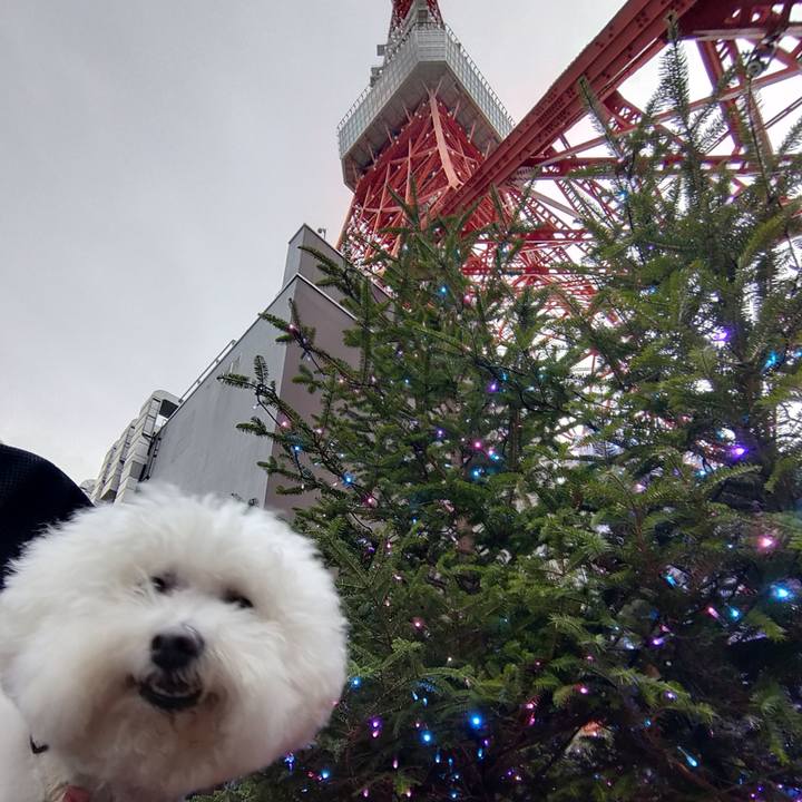 139f7a9e f6a2 43a7 b4f4 9952ef001f38 1765696651819