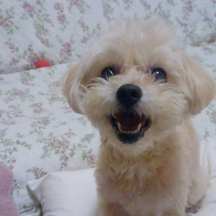 139f7d42 e36b 4d29 a202 f8bf7e90240d 1530968659403