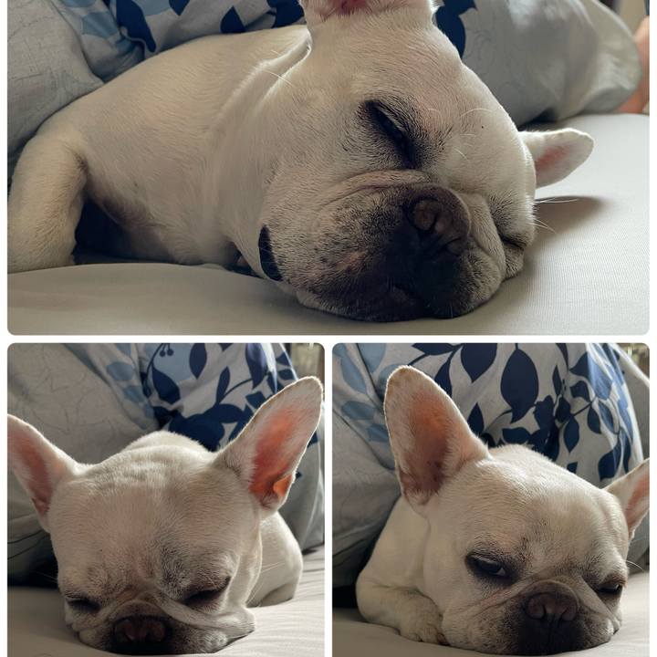 139f89d4 2b35 4d2a 8bbe f06ad26265ff 1749254851952