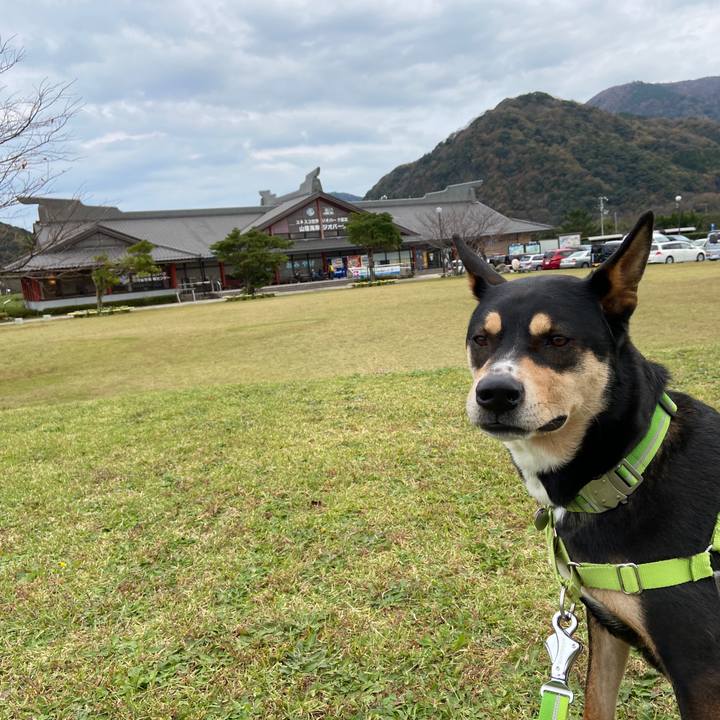 139f9cae 5dd2 4898 8da8 b1ec0e9e6abb 1606052662206