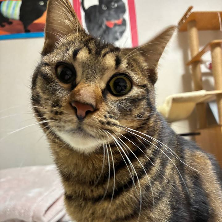 139fcd53 42a5 4660 89f2 081eded2ea20 1773842985290