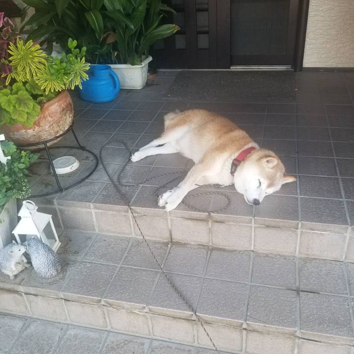 139ffefa d417 46a2 b6a2 261762127b3e 1723419670857